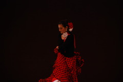 0822板橋区立文化会館023