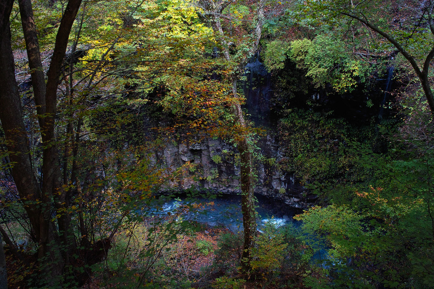 blue + green