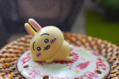 惰眠