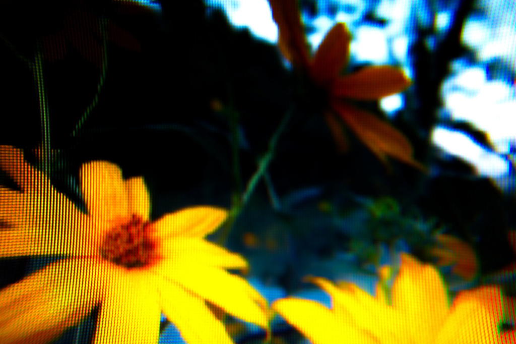 Liquid Crystal