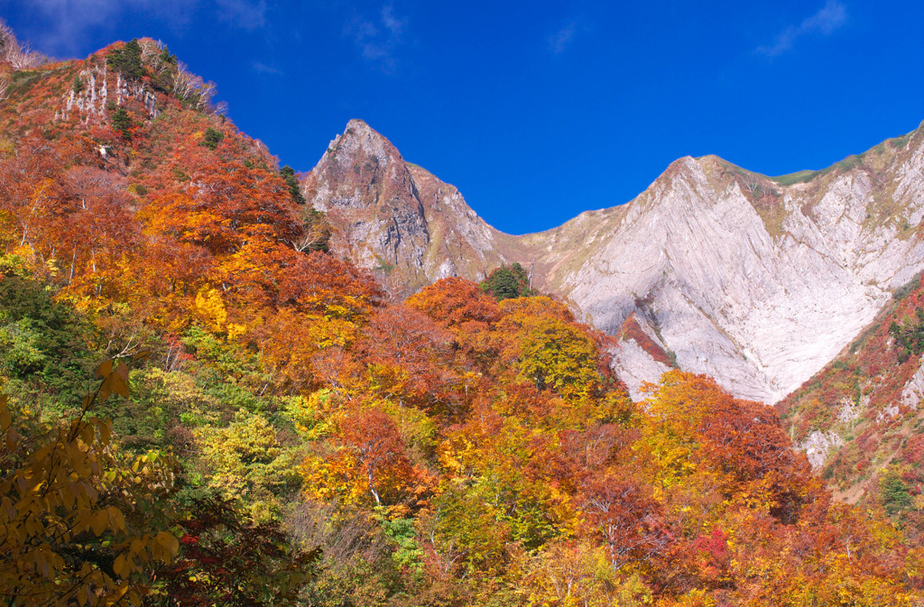 雨飾山と紅葉