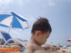 初海