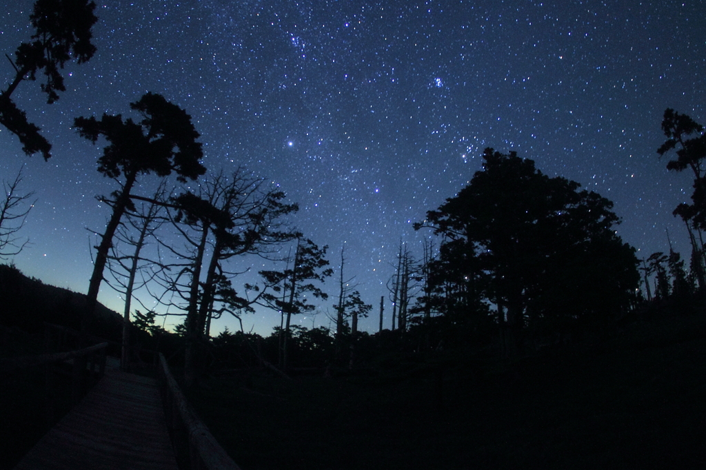 星空の特等席