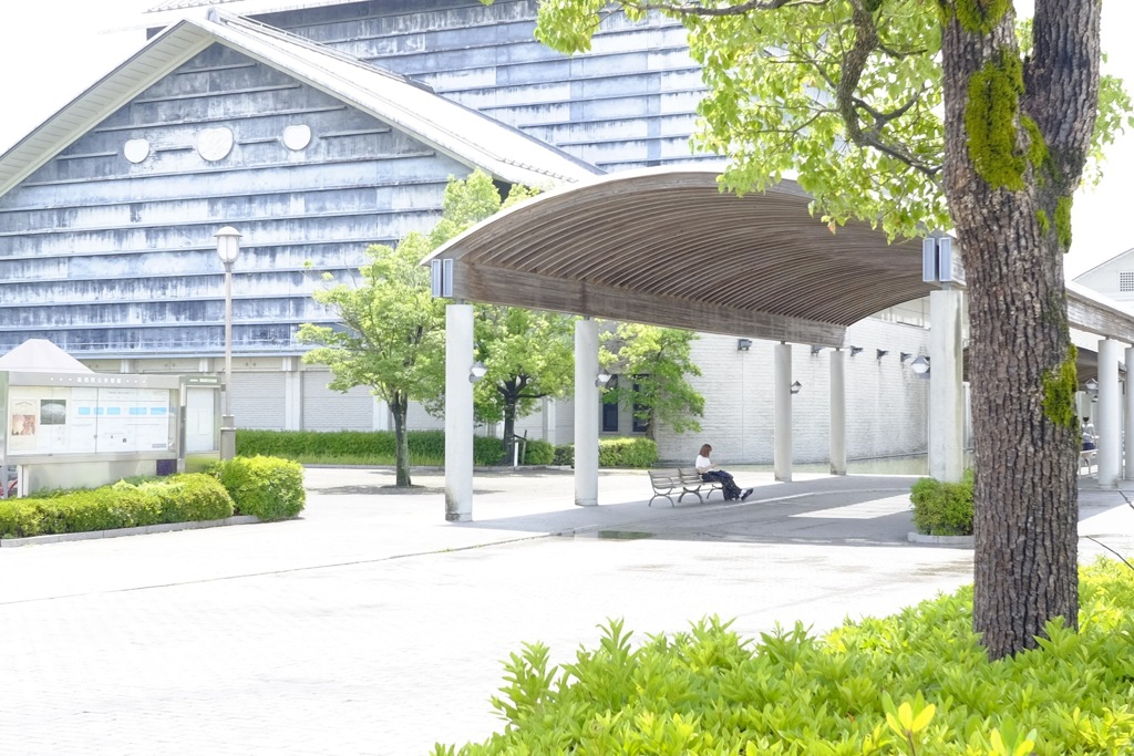 梅雨の晴れ間に