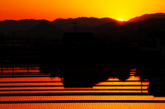 春の夕日