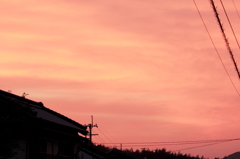 桃色の朝