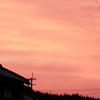 桃色の朝