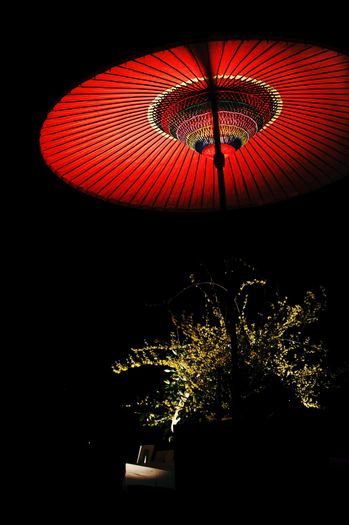 - 宵の花 -