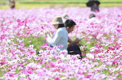 花よりスマホ