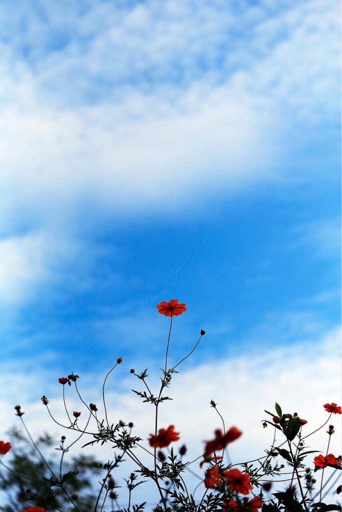 空と私