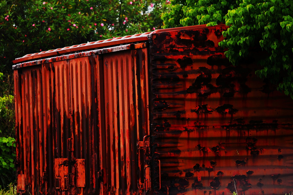 -rust-