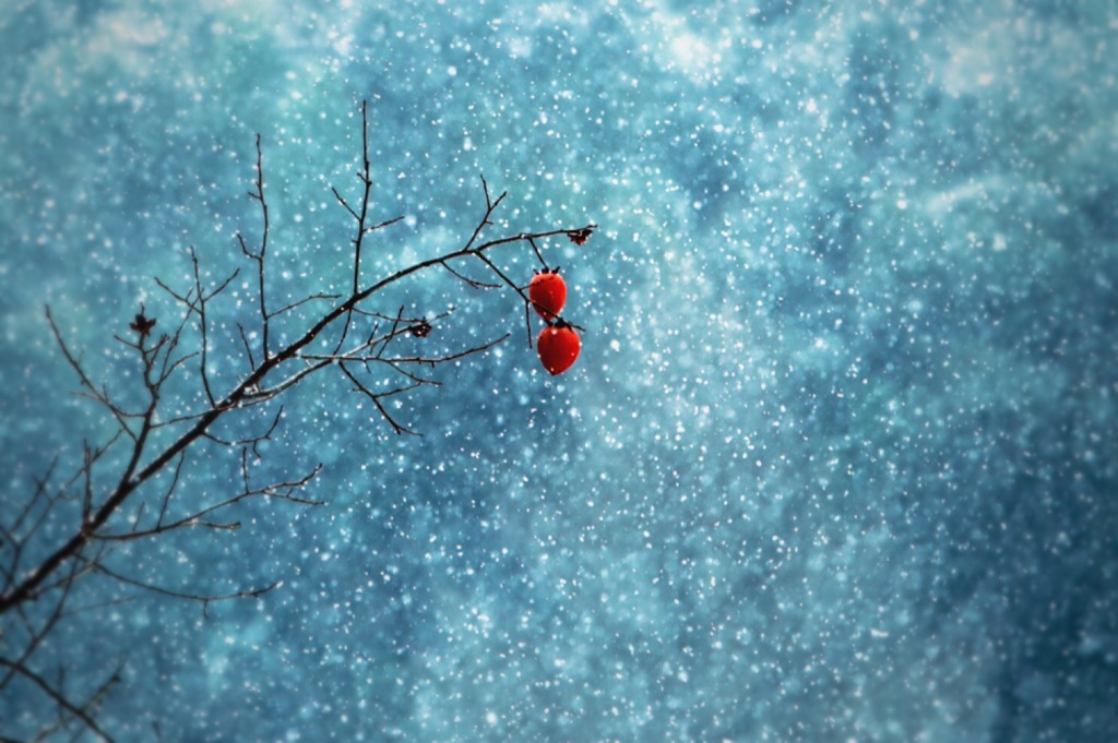 あっ雪