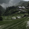 雨の棚田