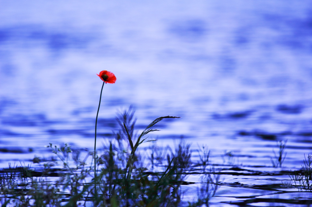 river-side