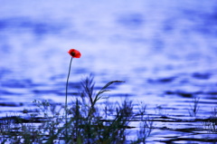 river-side
