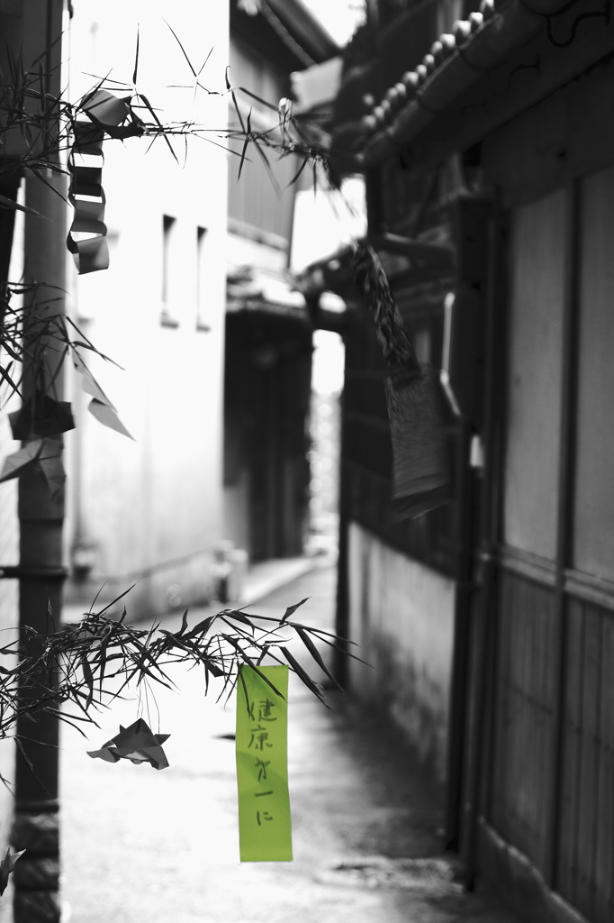 今日は七夕ですね