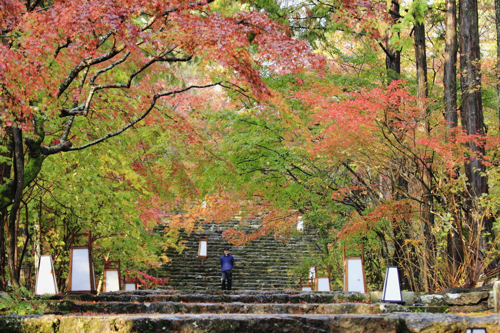 竹林寺