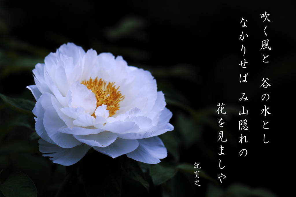 思いを馳せる