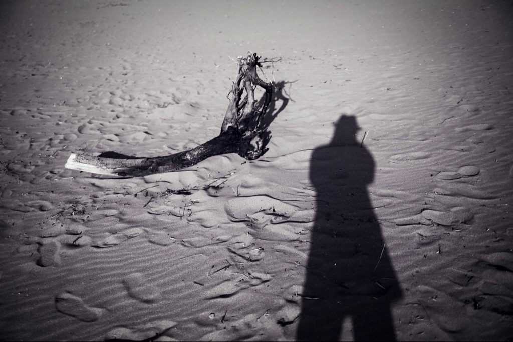  shadow