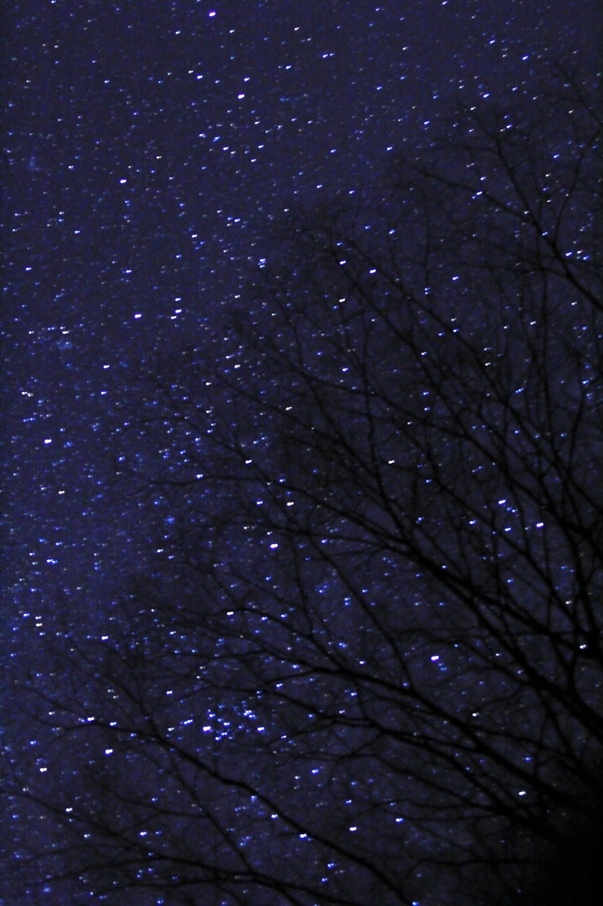 夜空にレンズを向けてみた