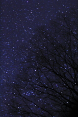 夜空にレンズを向けてみた