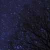 夜空にレンズを向けてみた