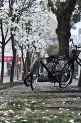 雨の木曜日