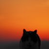 夕焼にゃん