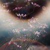 うつろい