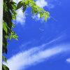 梅雨明け宣言7.17
