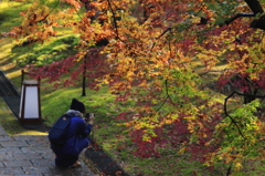 雨上がりの朝