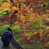 雨上がりの朝