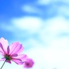 青空