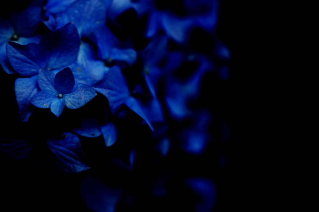- madonna blue -