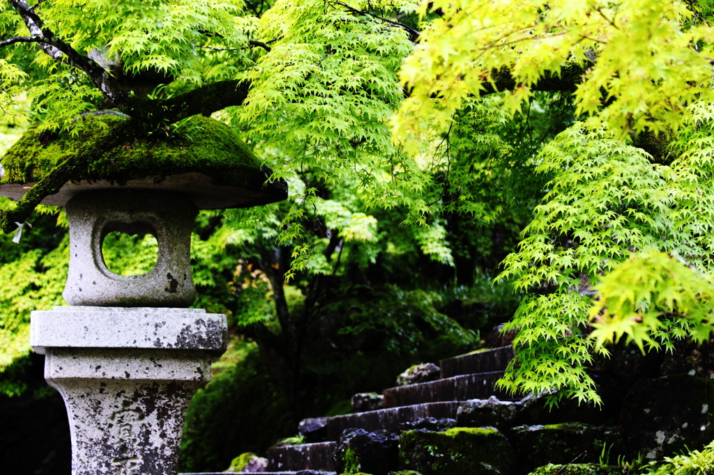 竹林寺-Ⅰ
