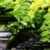 竹林寺-Ⅰ