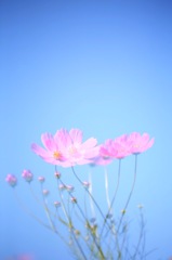 分身の術^ ^