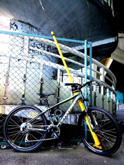 TRAIL6