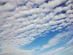 秋の空