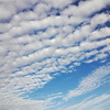 秋の空