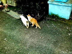 なかよし