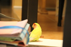 あれっ？