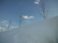 つながらないケータイで。