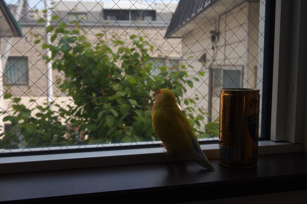 ただ、見つめるだけ。