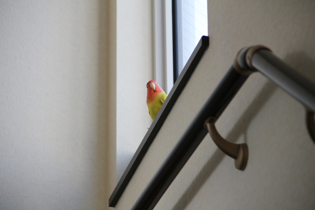 ん？