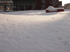 雪原