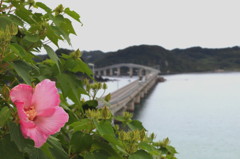ひっそりと．．