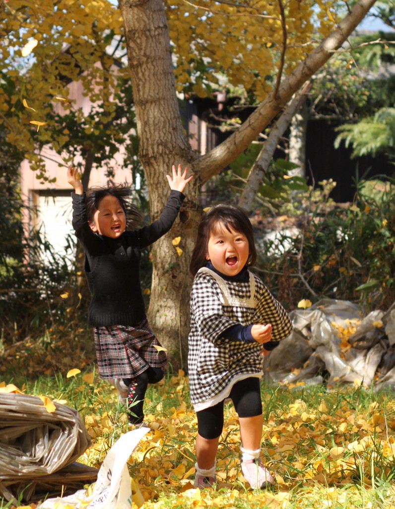 枯葉舞、喜ぶ子供たち