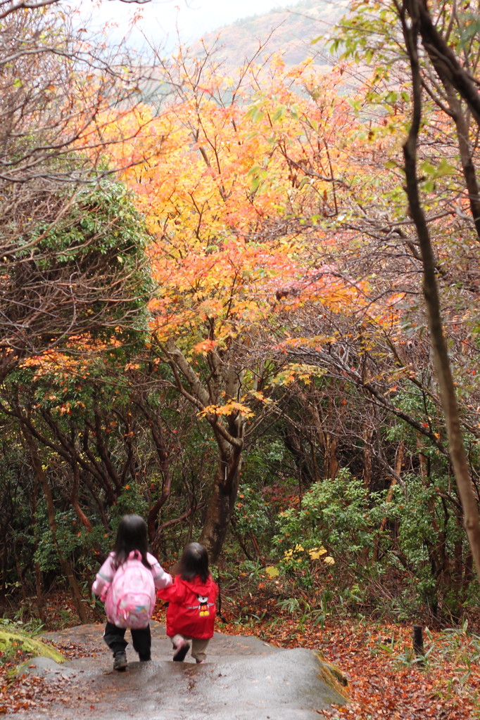 紅葉と姉妹