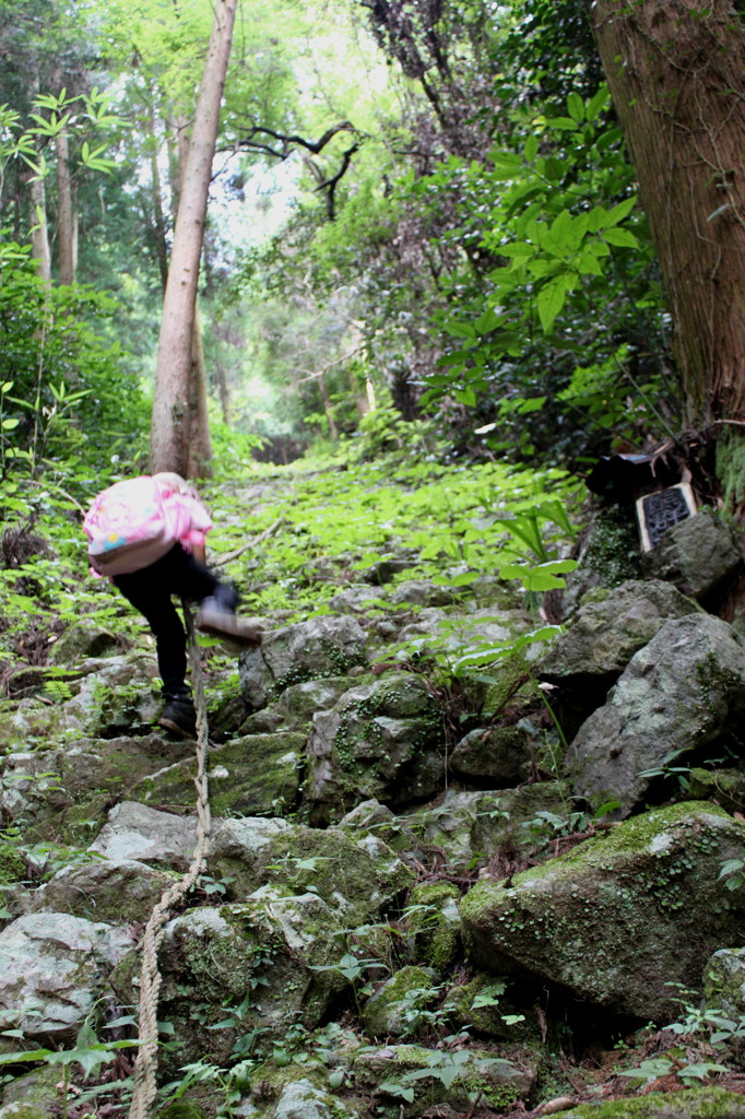 遙かなる山頂